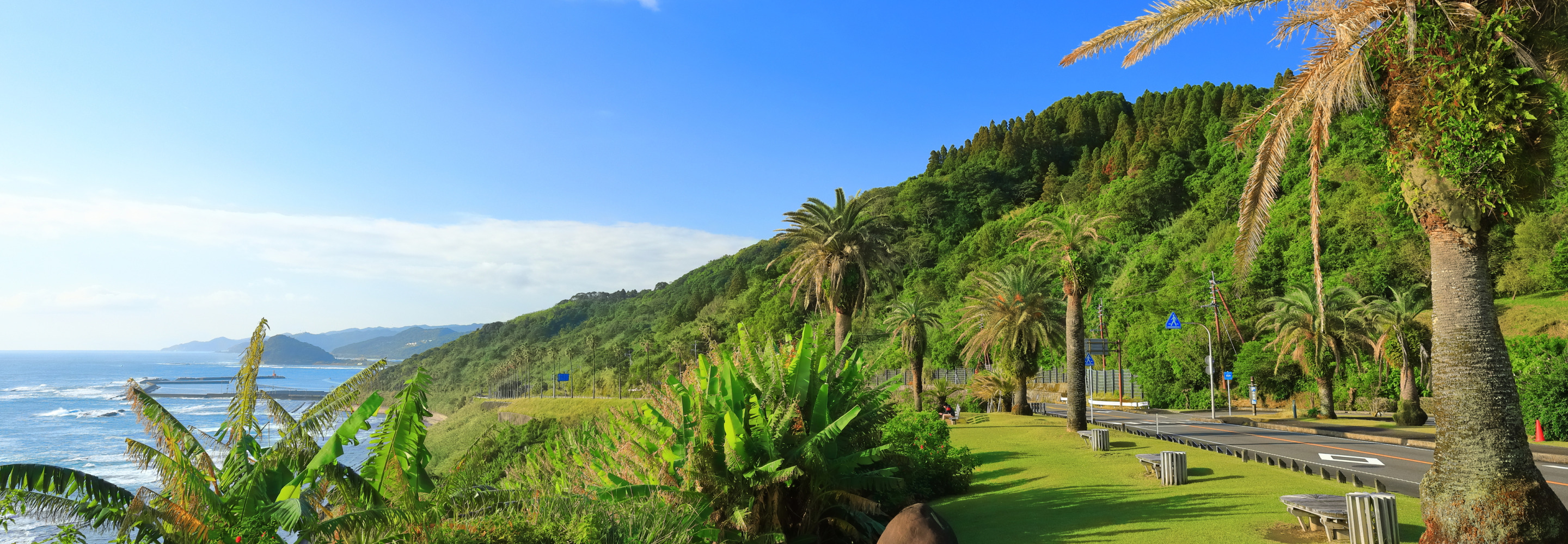宮崎県イメージ画像