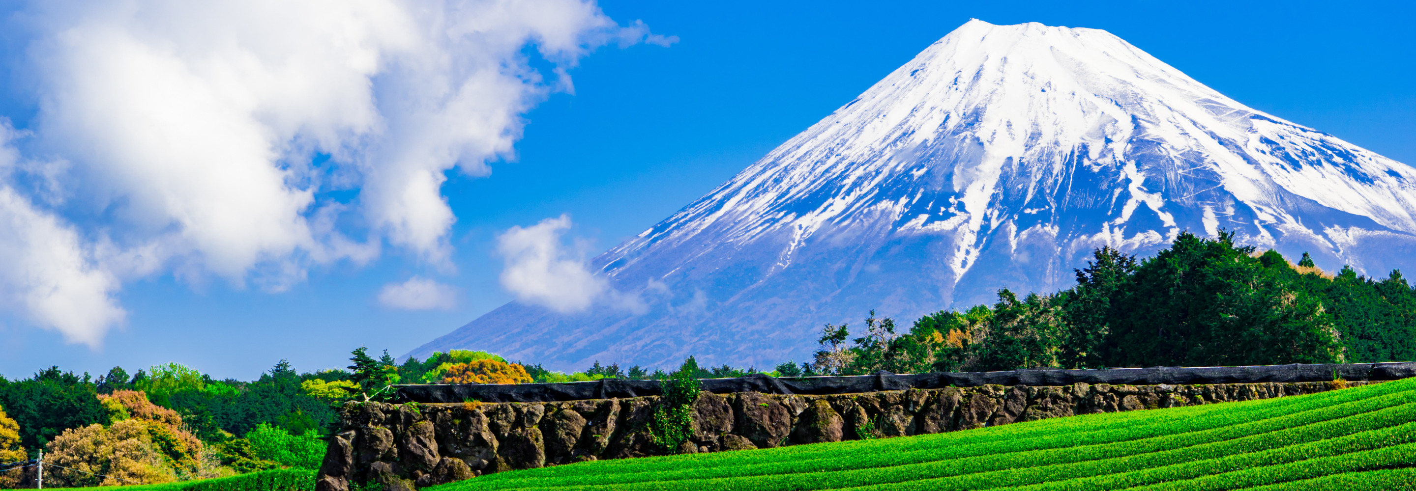 静岡県イメージ画像富士山