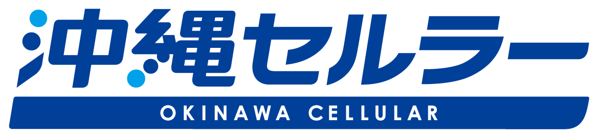 【沖縄】ソリューション間接営業